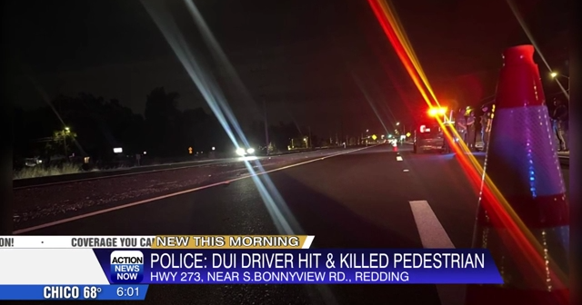 Redding driver arrested for drug DUI after deadly Highway 273 crash ...
