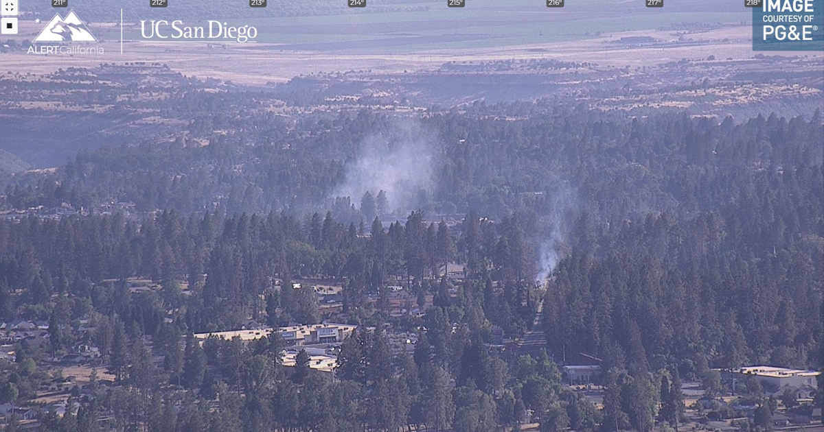 Five Vegetation Fires on Clark Road Under Investigation