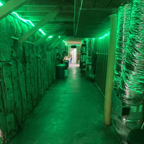 State of California continues crackdown on illegal cannabis, seizes ...