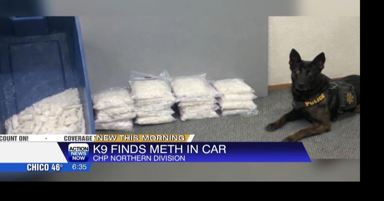 CHP dog finds 53 pounds of meth hidden in car during stop | Video ...