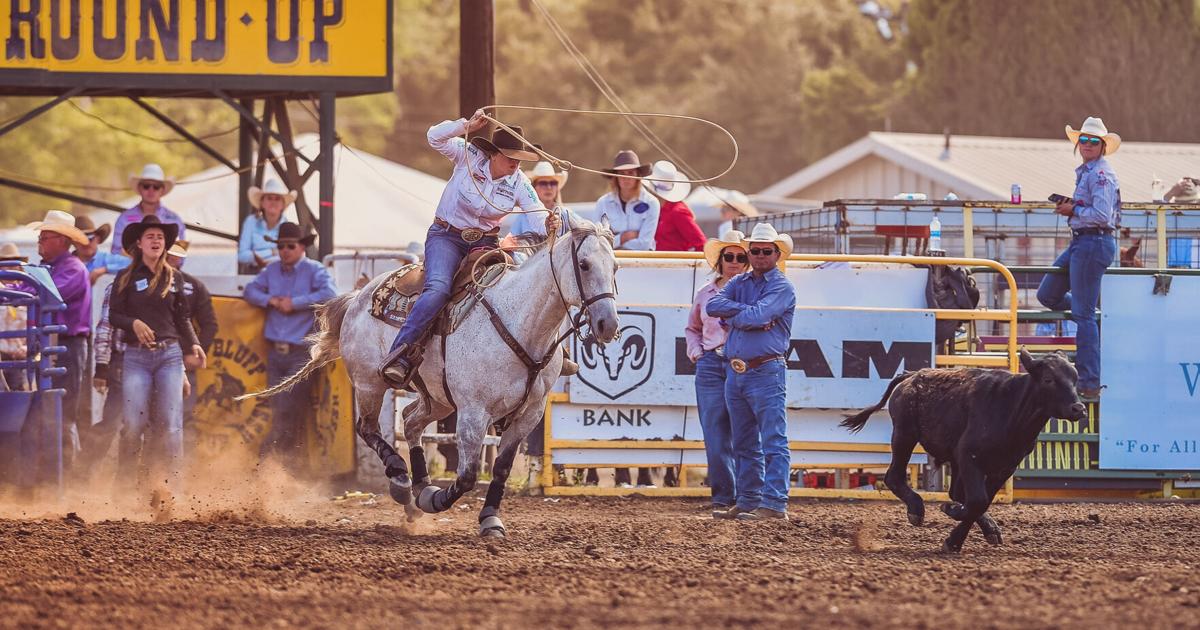 Women's Breakaway Roping returns to the 2024 Red Bluff Round-Up | News ...