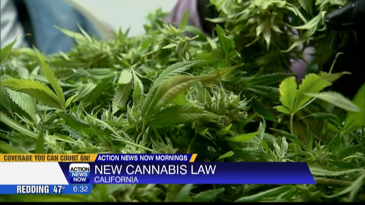 New Cannabis Law Coming To California In 2024 Video Actionnewsnow Com   658c6d3873366.image 