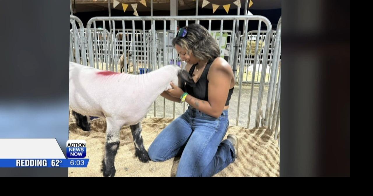 Shaleen Torres livestock project turned to an emotional attachment