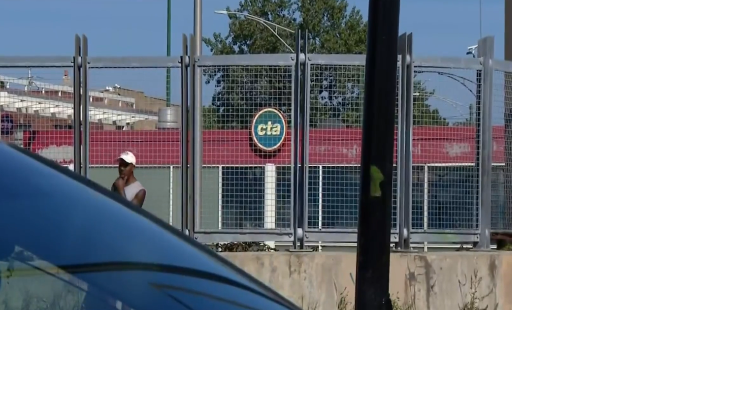 Girl, 15, charged with pushing man from CTA train, killing him to remain in custody