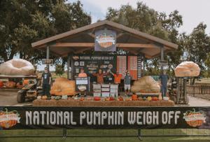 Chico Resident Claims Second Place with Massive Pumpkin