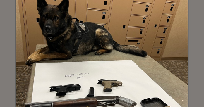 Arrest News Image