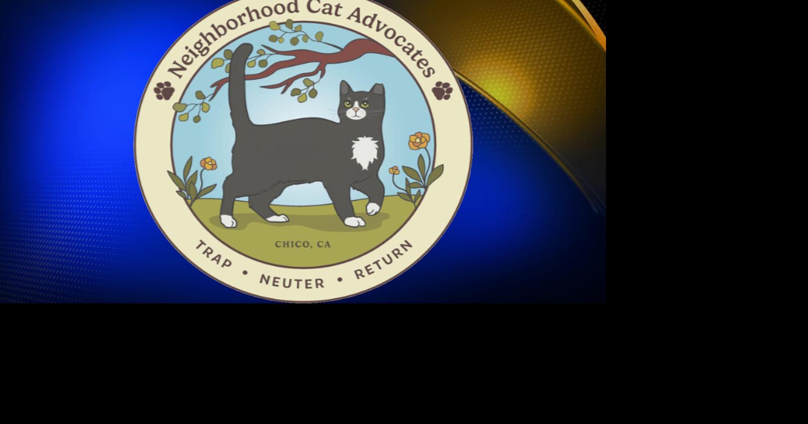 Neighborhood Cat Advocates celebrates 20,000th Butte County spay and neuter milestone