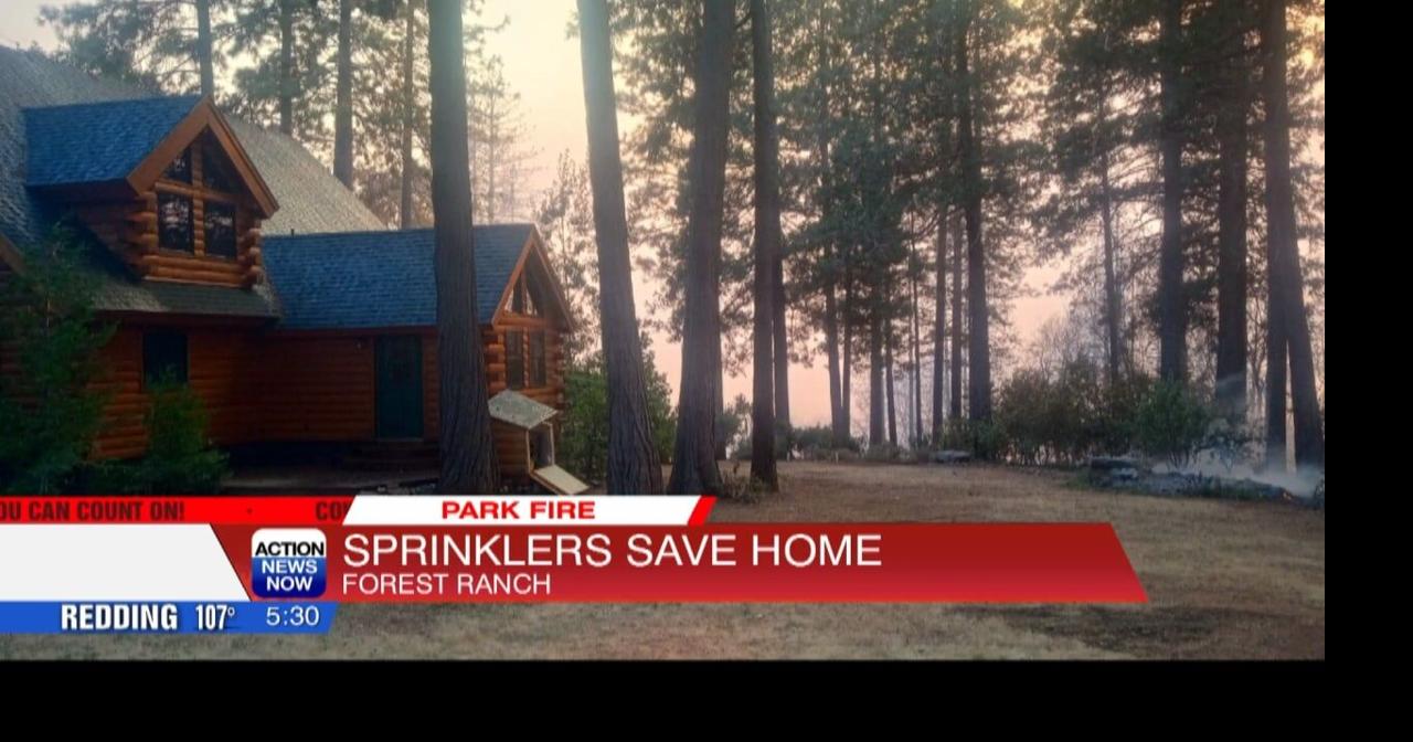 A man in Forest Ranch believes his home-gardening efforts saved his ...