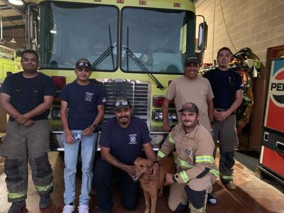 willows fd and dog.jpg