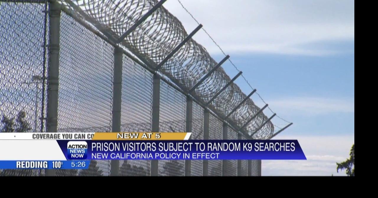 Prisons in California to soon ramp up use of K9's to keep drugs out ...