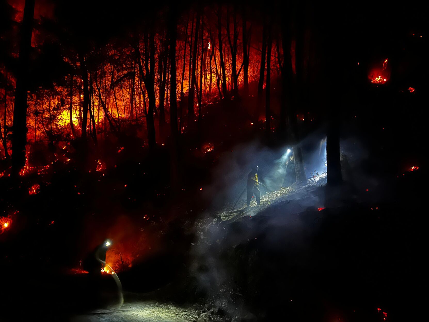 Premium AI Image | Looking at a wildfire spreading through a forest anime