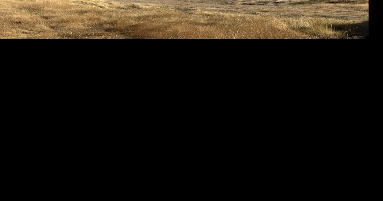 Crews contain homeless camp fire in Red Bluff | News | actionnewsnow.com