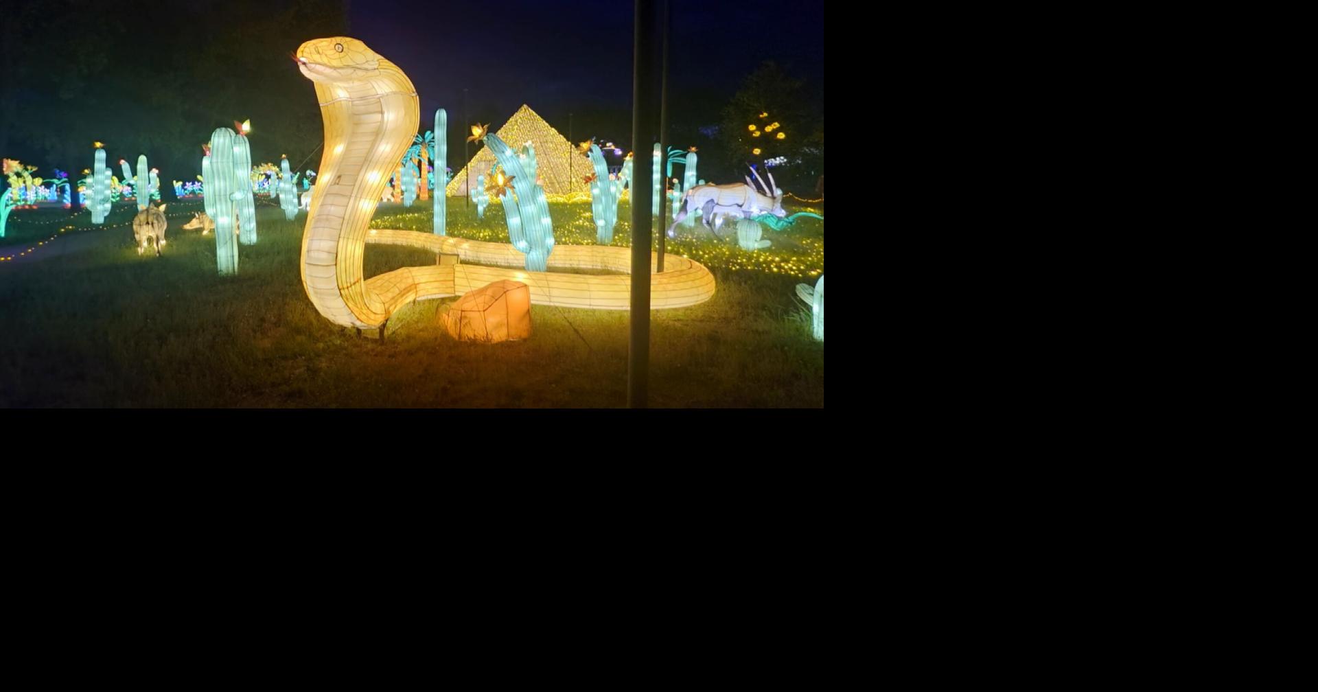 Glowing Wild lights up Turtle Bay in Redding
