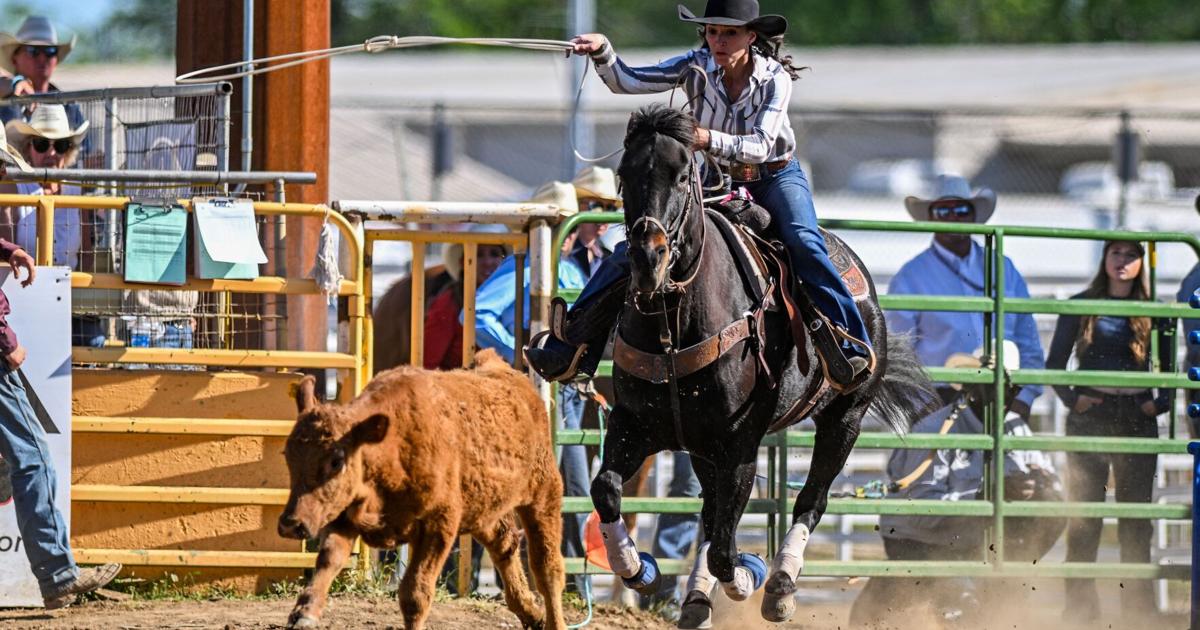 Courtney Crum Rodeo Hat Creek's RC Landingham takes 2nd in bareback riding in Red Bluff ...