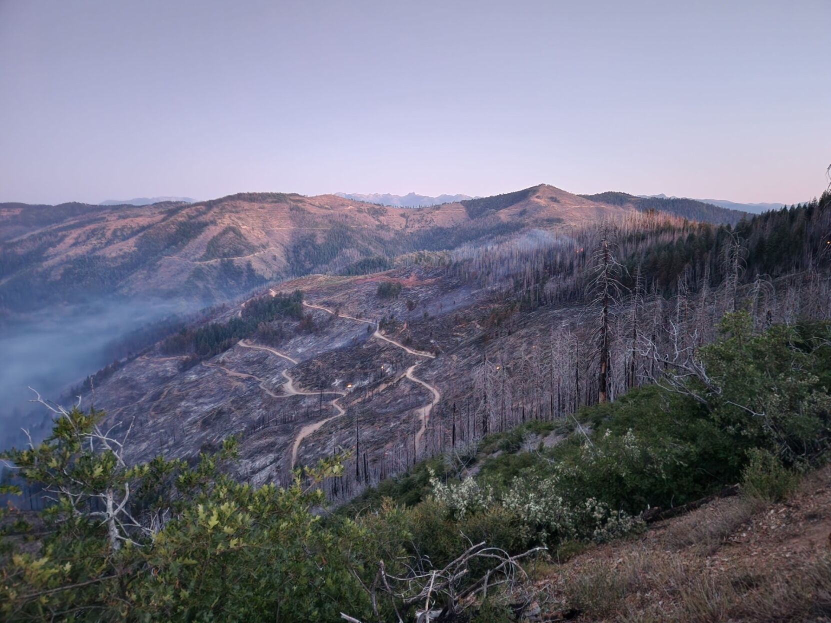 Horse Fire 80 contained Green - 686ac9d210925.image 