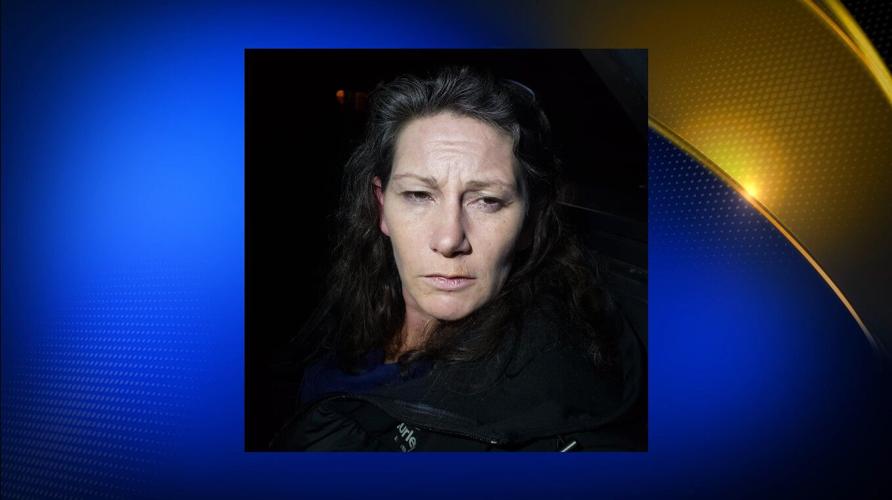 2 suspects arrested in Redding on possession charges, released seven ...