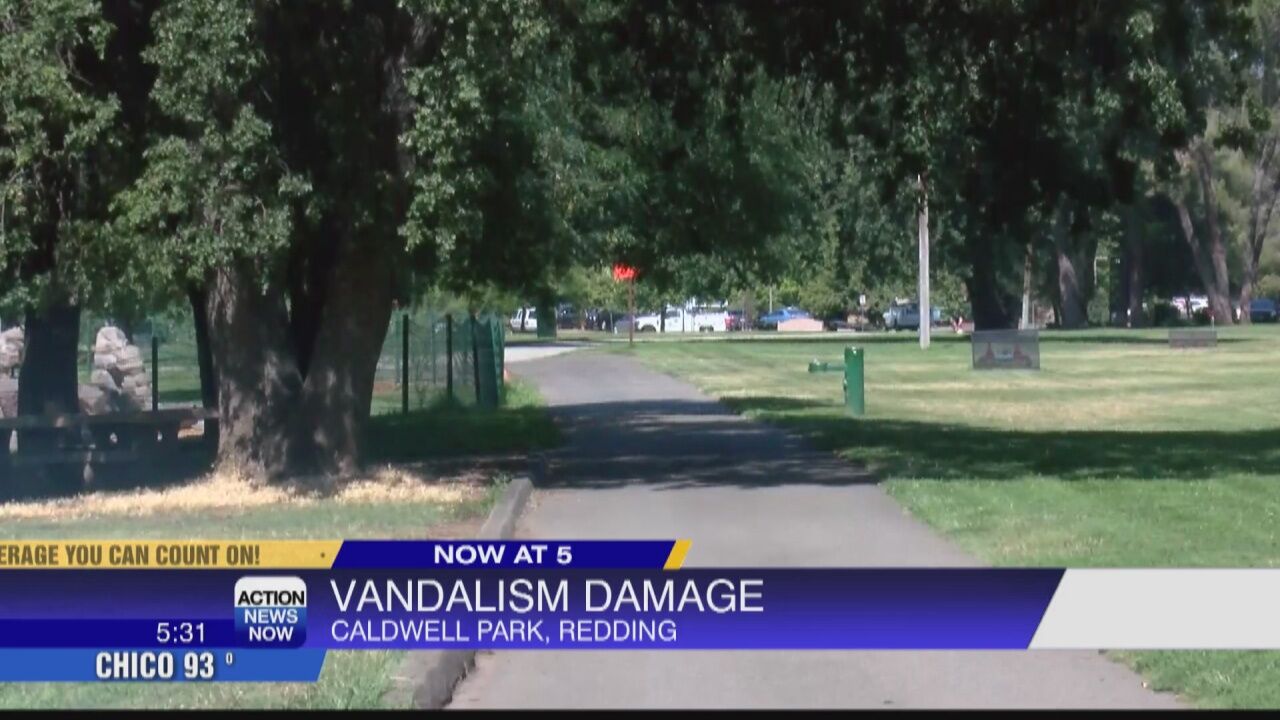 Caldwell Park sees a string of vandalism | Local | actionnewsnow.com