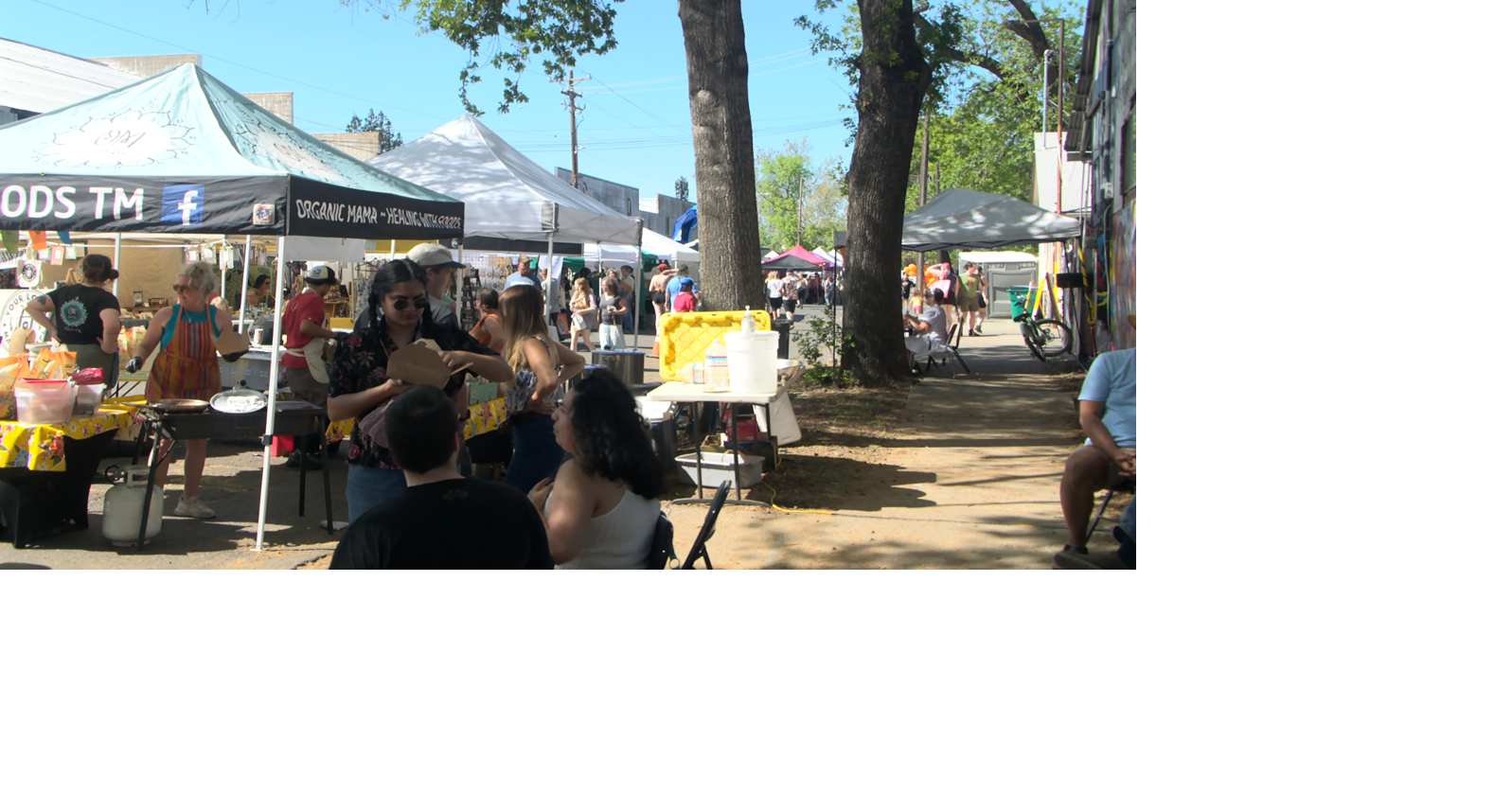 Local community gathers at second annual Maker's Muse Festival in Chico