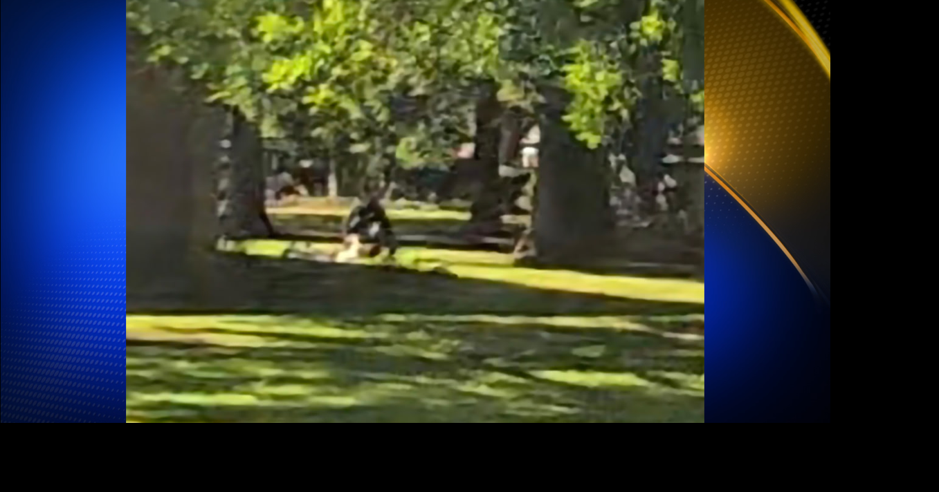 Police: Chico library shooting suspect wanted a Columbine-style massacre