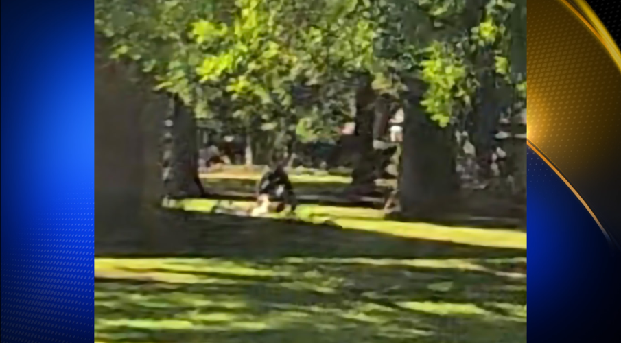 Library Shooting Police: Chico library shooting suspect wanted a Columbine-style ...