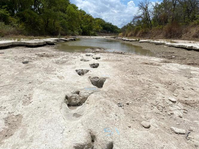 Dinosaur tracks from 113 million years ago uncovered due to severe drought conditions at Dinosaur Valley State Park