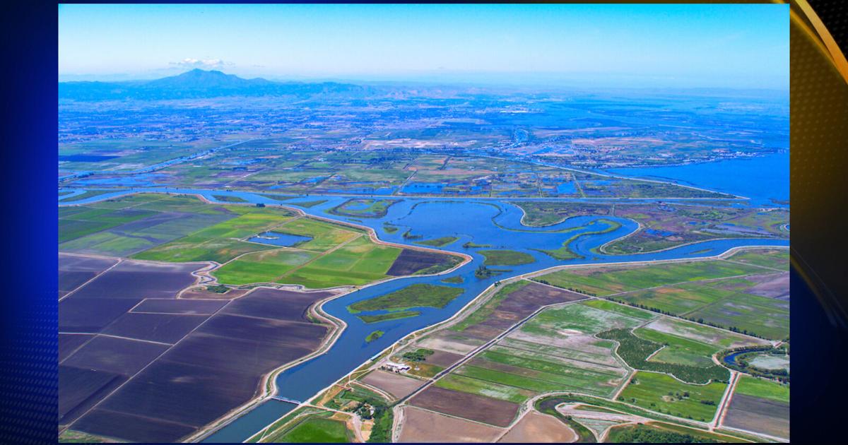 Delta Bridge DWR Director: Delta Conveyance Project key to modernizing California's ...
