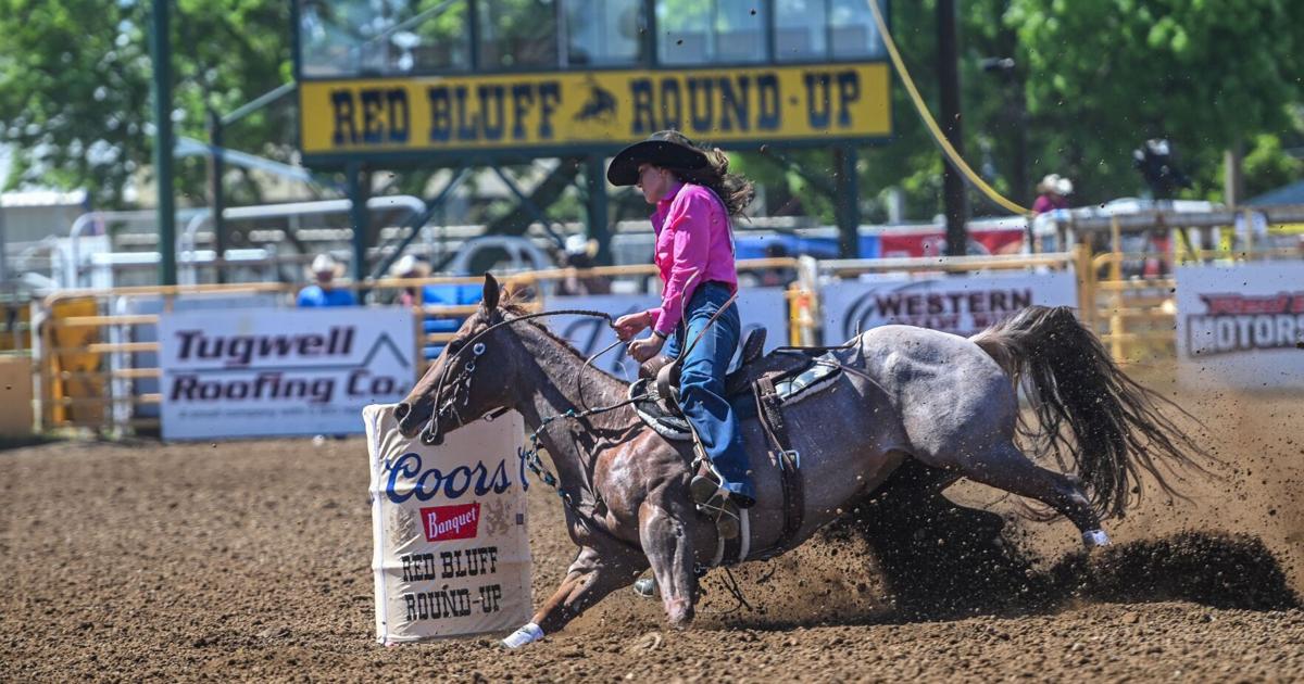 Barrel Racing Randy Sullivan Red Bluff Round-Up: Barrel Racing results | News | actionnewsnow.com