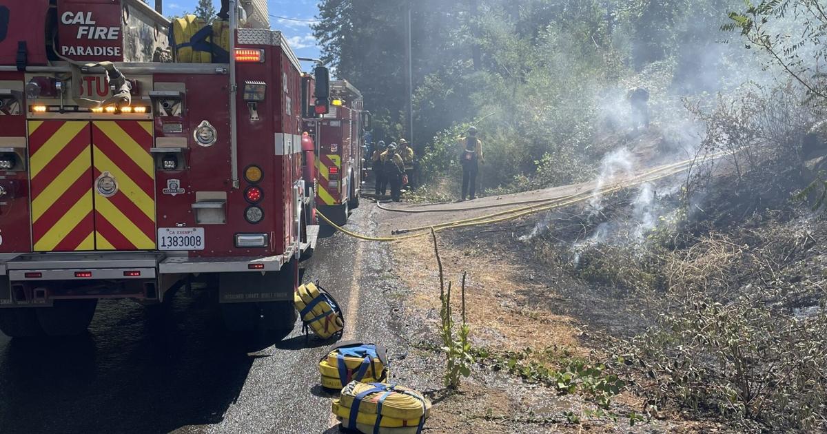 Stacey Way Fire Skyway Fire | | actionnewsnow.com