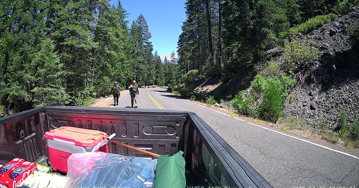Armed Hostage Situation Ends in Arrests: Uncovering the Shasta-Trinity Forest Drama