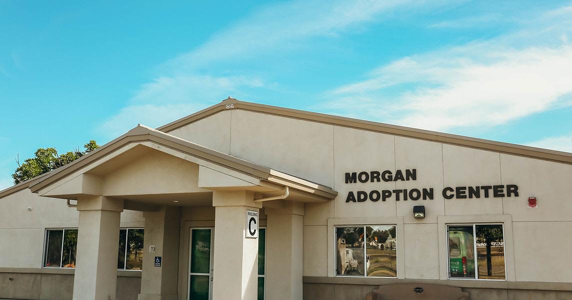 Reduced pet adoption fees at Haven Humane Society for the next two weeks | News