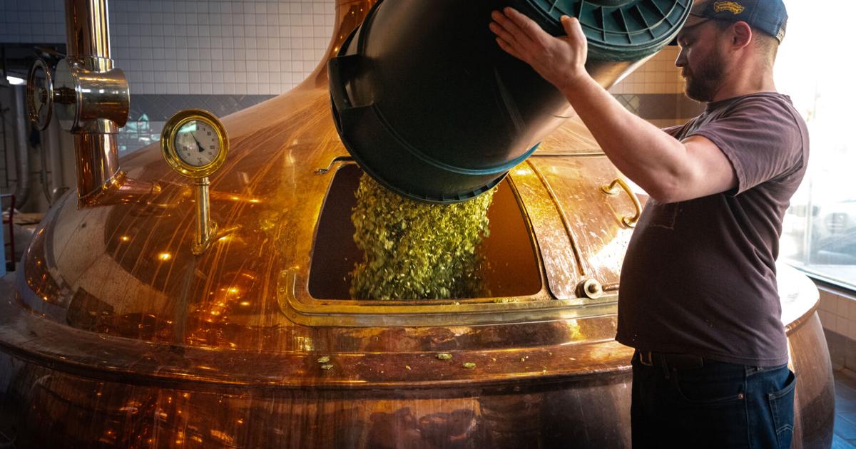 Sierra Nevada Brewing Company celebrates 45 years with eco-friendly growth