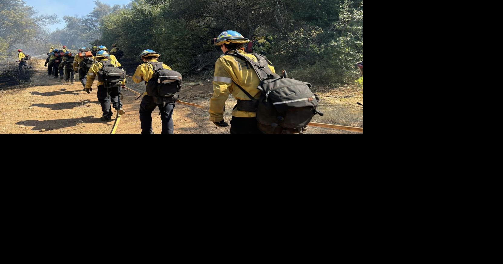 Firefighters stop forward spread of vegetation fire in Anderson | News ...