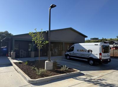 The new cat facility at Paradise Animal Shelter