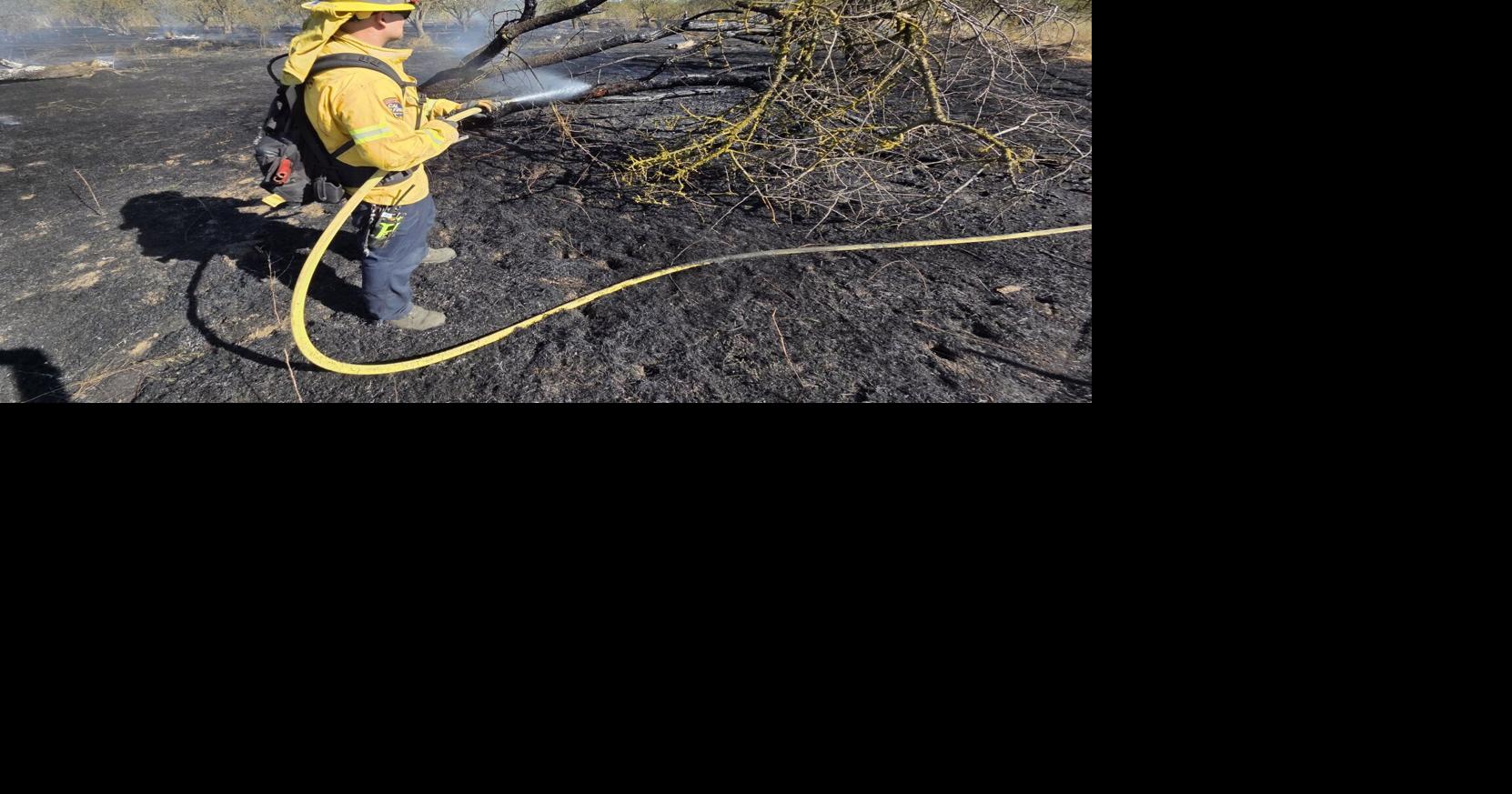 CAL FIRE crews contain vegetation fire burning in almond orchard on ...