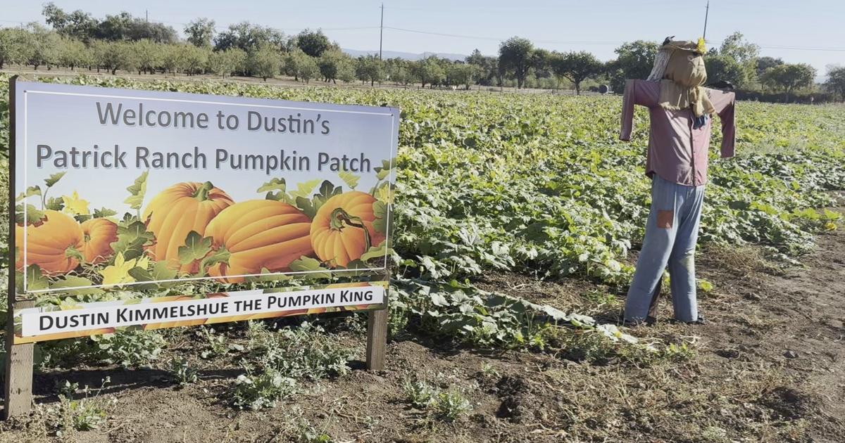 Patrick Ranch Map Autumn Fest brings Fall fun to Patrick Ranch Museum | Butte County ...