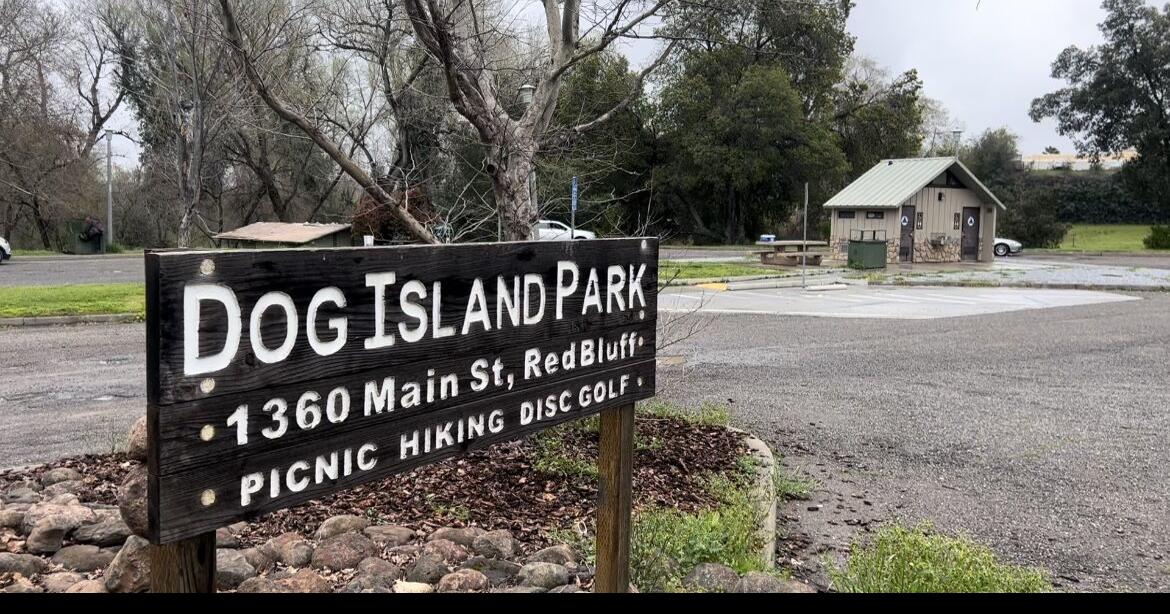 Flooding at Dog Island Park impacts homeless community living there Local