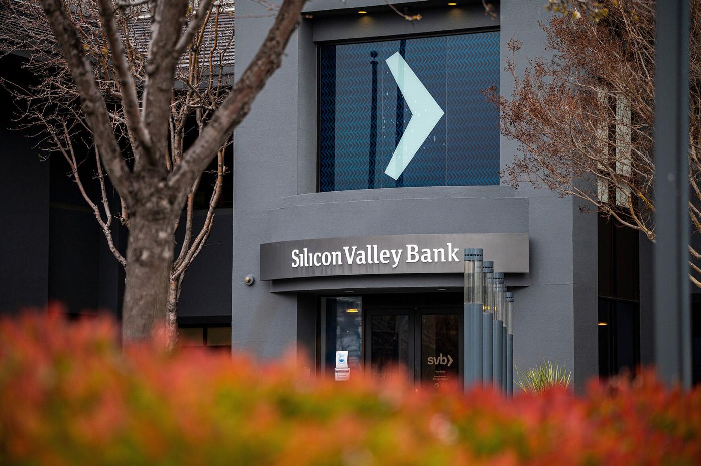 Silicon Valley Bank collapses after failing to raise capital | National |  actionnewsnow.com