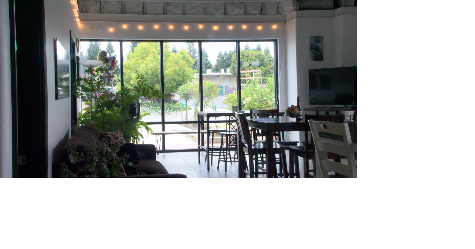 Keeping small businesses in Chico alive