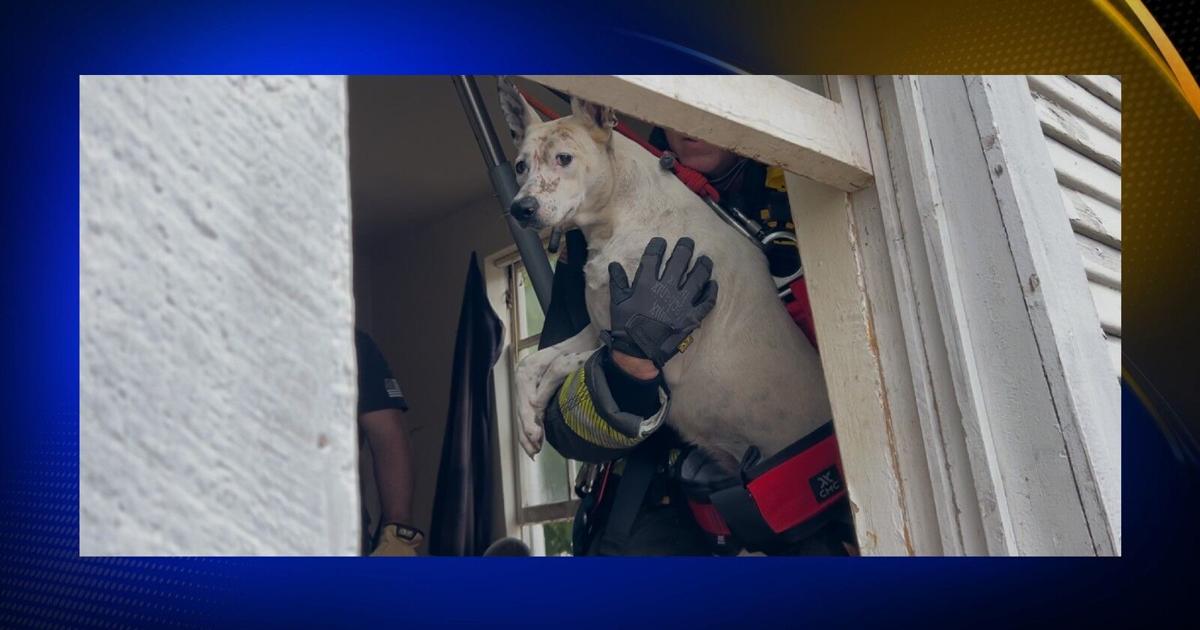 Chicko Rescue Chico rescue team attempting to save dog trapped in well on Magnolia ...