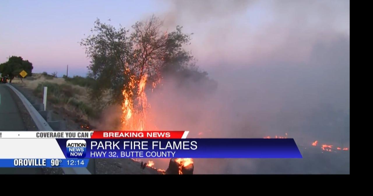 Park Fire Tree catches on fire near Highway 32 Video