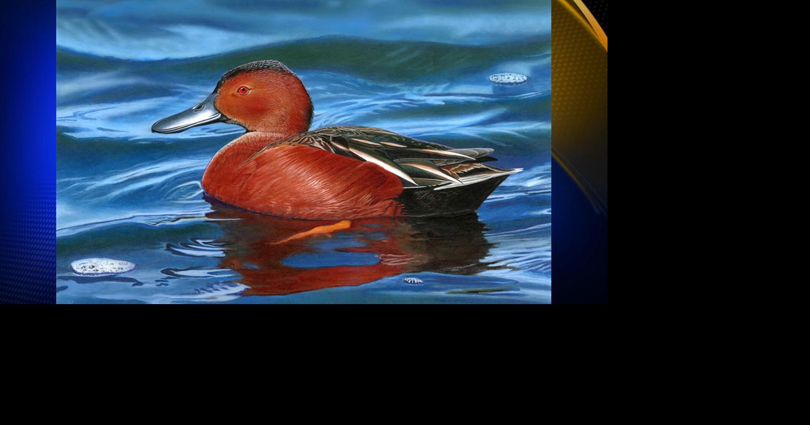 Artist from Florida wins 2025 California Duck Stamp Art Contest