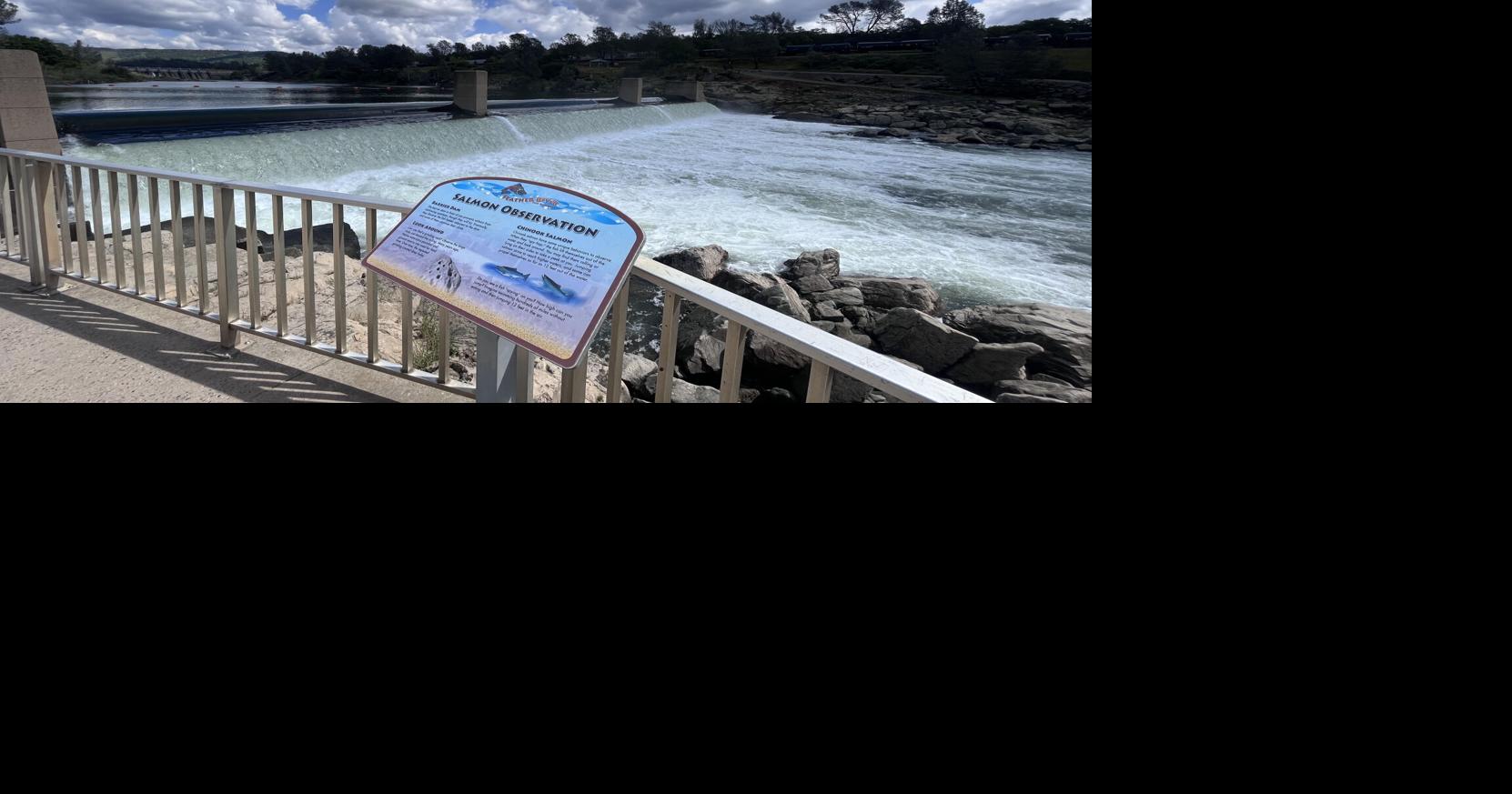 Fishing season could be canceled as salmon population recovers News