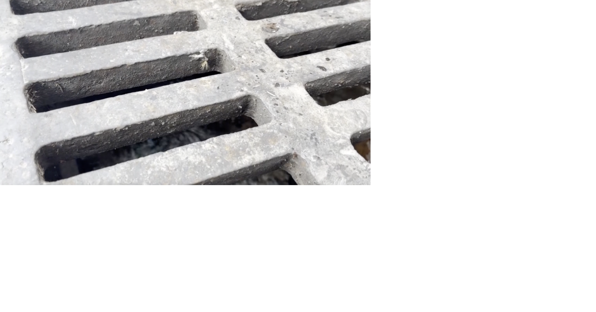 New sewer rate increase to impact local businesses