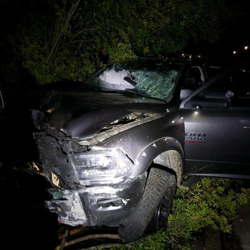 Man arrested for DUI after crash into Redding Veterinary Clinic | News ...