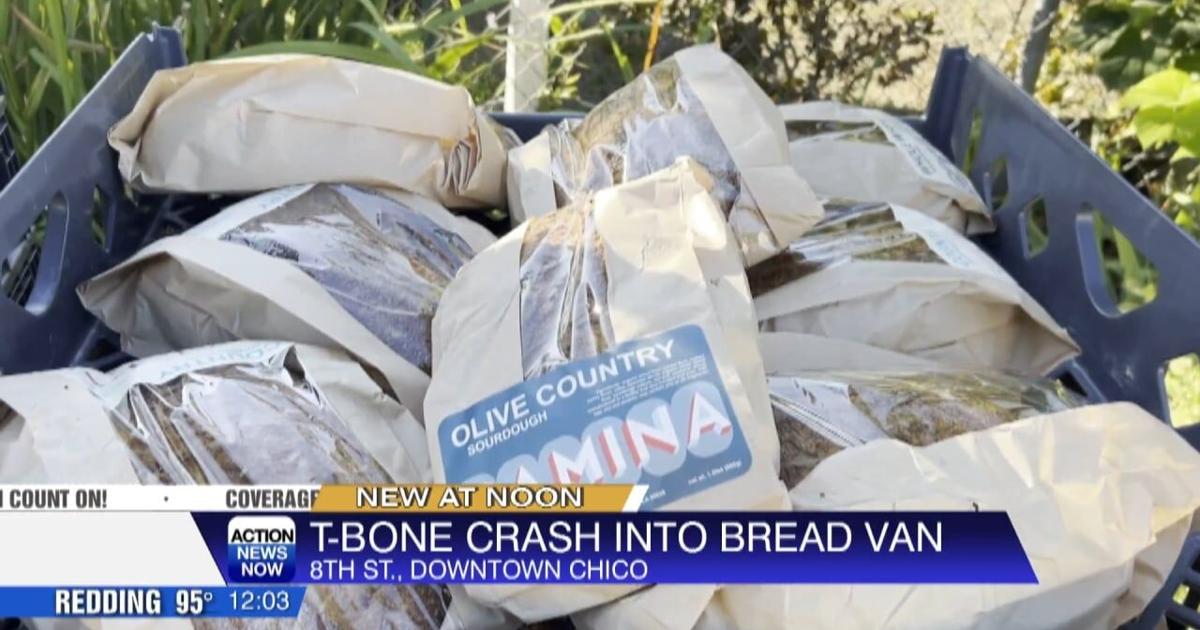 Bread Rack Injuries Bakery van crash in Chico leads to bread loss, no injuries | Video ...