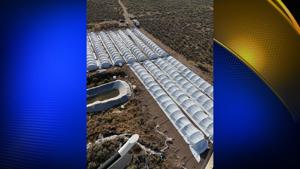 Authorities Discover Over 150,000 Marijuana Plants in Lassen County