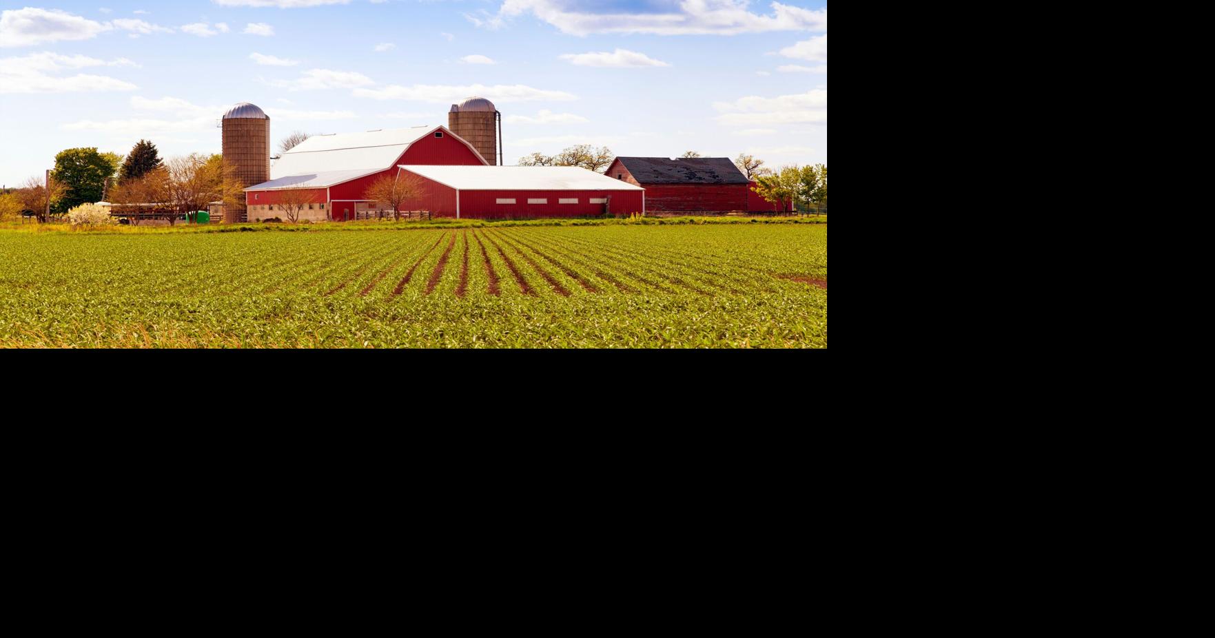‘Farm Bill’ may ease cost burden for Illinois farmers