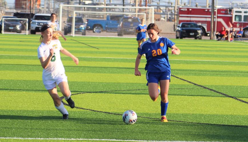 PHOTOS Roxana 7, MELHS 0 girls soccer regional at Roxana Sports