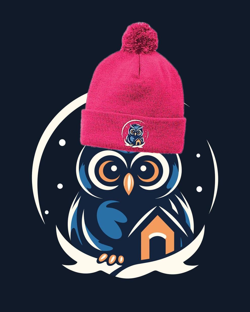 OWL is hiring a full-time director | Local News | advantagenews.com