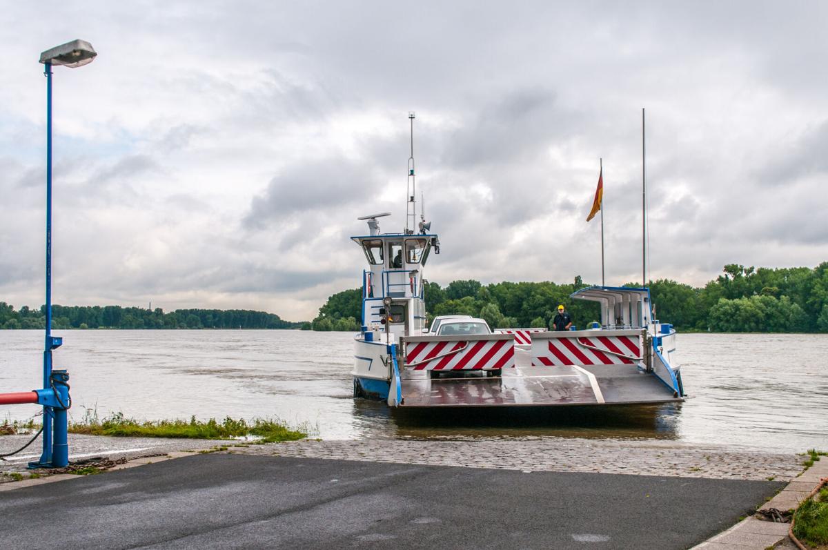 Grafton Ferry opens Friday Local News
